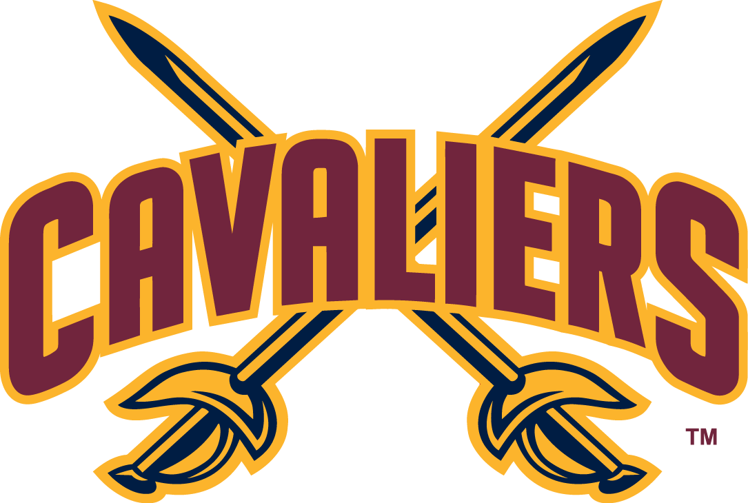 Cleveland Cavaliers 2010-2017 Alternate Logo DIY iron on transfer (heat transfer)